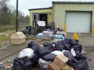 Text of Euthanasia Complaint Alleges a Prolonged Demise for Some Shelter Animals Shelter File Photo Nov. 27, 2012